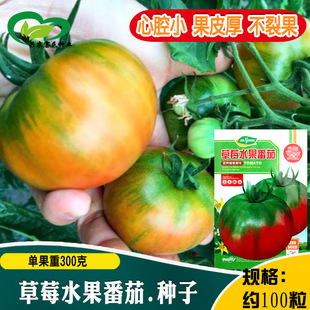 ��ݮˮ�����ѷN�� �r��ˈ@������ۼt���Ӳ������С��෬����