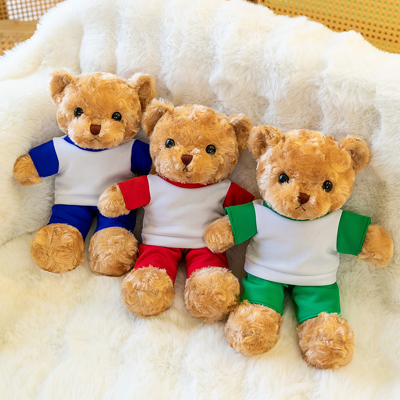 Oso personalizado logotipo impresa emblema de la escuela Nombre de clase estudiante Teddy Bear Dr. Bear Regalo de apertura