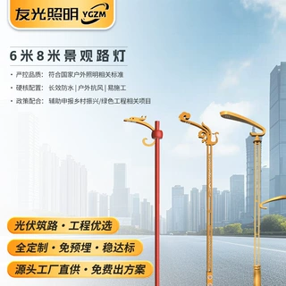 广东友光6米8米市电景观路灯高亮度防水道路工程led市电节能