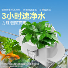 �A���~���^�V��ѭ�h��ˮ����һ���õ������^�Vϵ�y����һ�w�^�V��