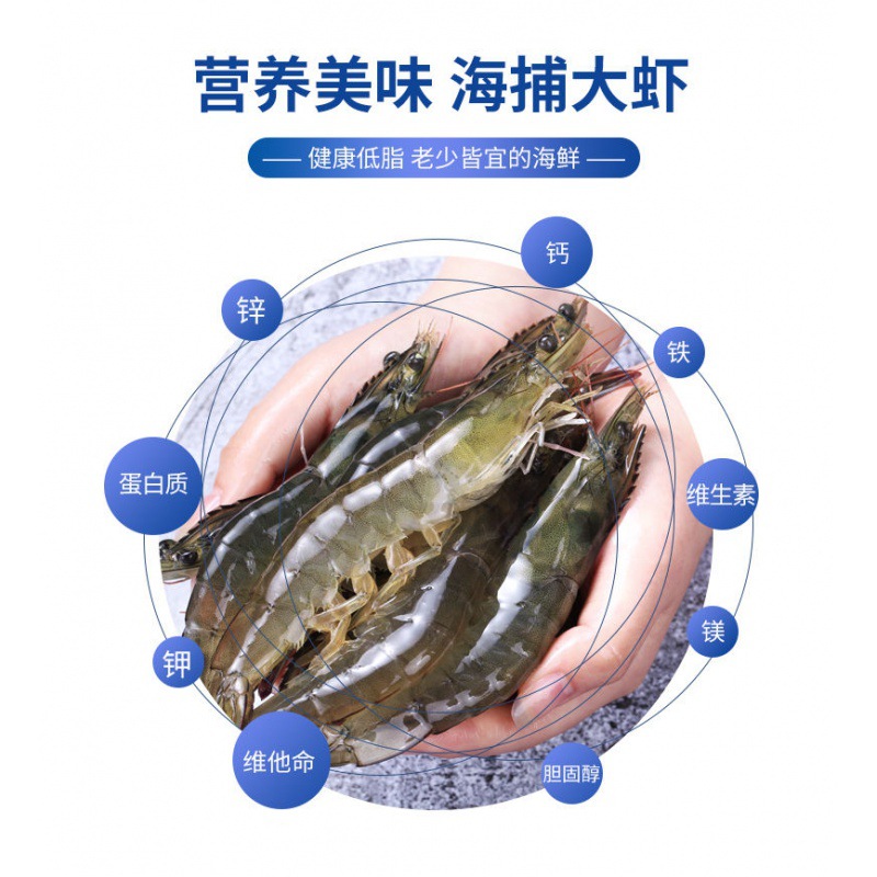 大蝦海捕整箱基圍蝦大凍蝦鮮活對蝦鮮蝦白蝦青蝦活蝦海鮮跨境