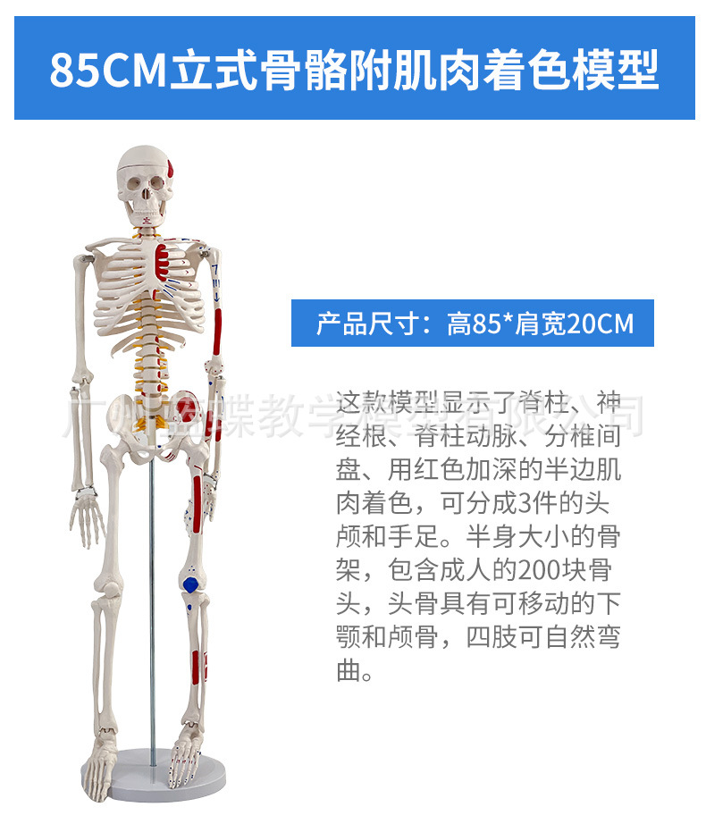详情_27