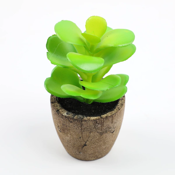 Desert Rose-Green