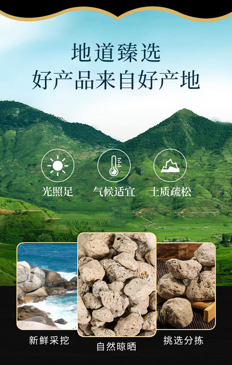 Hai Fu Shi (Pumice / Costazia aculeata) — Dried Mineral Herb for Decoction & Tea overview