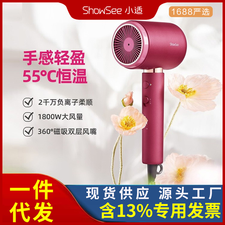 Small Suitable Constant Temperature Electric Hair Dryer Household Large Wind Low Noise Negative Ion Portable Hair Dryer for Male and Female Student Dormitory