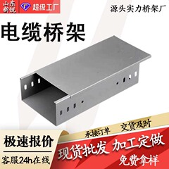 橋架メーカー 亜鉛メッキ橋架 熱間浸漬亜鉛メッキ金属 アルミニウム合金製溝型 ステンレス製露出型ケーブル橋架
