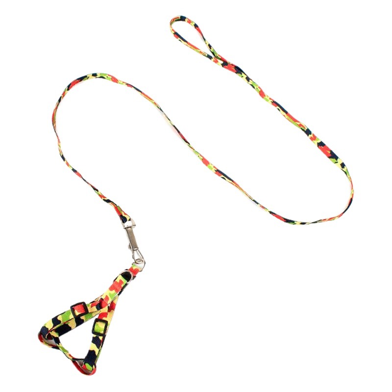 Suministros para mascotas venta al por mayor económica correa para mascotas poliéster impreso cachorro leash 1,0 cm lote mezclado