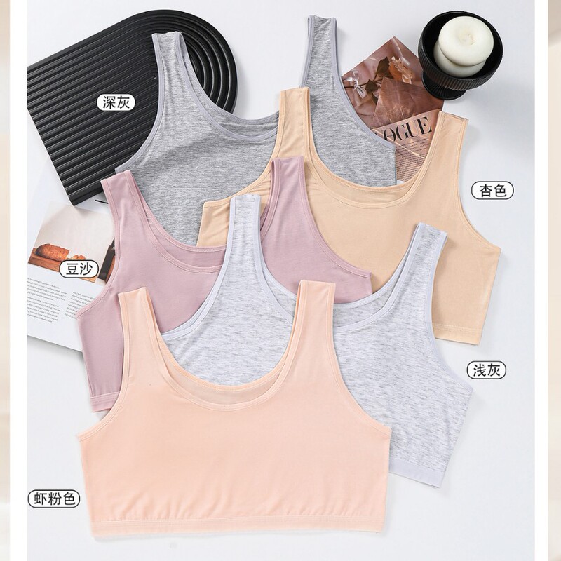 Jianshuyan Women's Middle-Aged and Elderly Mothers' Modal Plus Size Vest Comfortable and Soft Bra Without Rims Vest for Women Jianshuyan Women's Middle-Aged and Elderly Mothers' Modal Plus Size Vest Comfortable and Soft Bra Without Rims Vest for Women