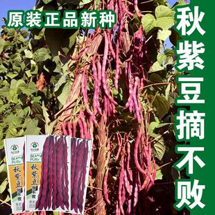 ժ�������϶��ϼtܿ���ǲ˶��߲˺��������r��ˈ@�߮a���϶��N��