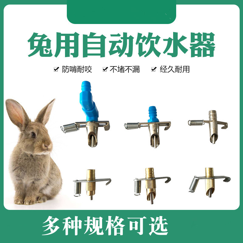 兔子饮水器带三通弹簧兔用自动饮水器厂家直供养殖场兔用饮水嘴