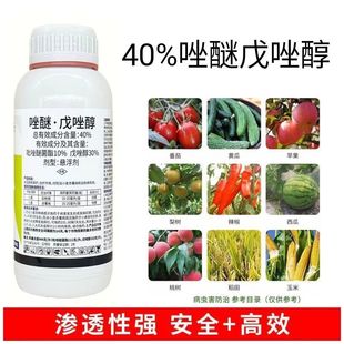 40%����������Ʒ������������������Ѿ�����߲���ù��������