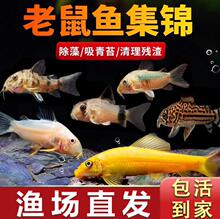 �ח��~��������������������؈�����̦���坍�^�p�Ꭷ������w