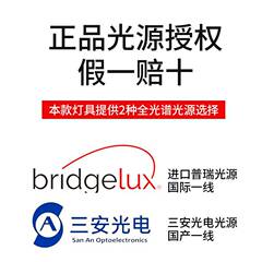 Ultra-thin Living Room Lamp Bedroom Eye-Care Flush Mount Lamp Study Room Child Room Anti-Blue Light Puri Chip Full Spectrum Lighting