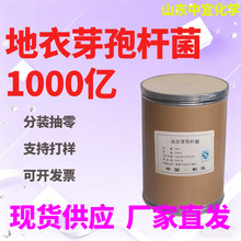 现货地衣芽孢杆菌微生物菌剂菌肥1000亿活菌水产畜牧养殖全水溶