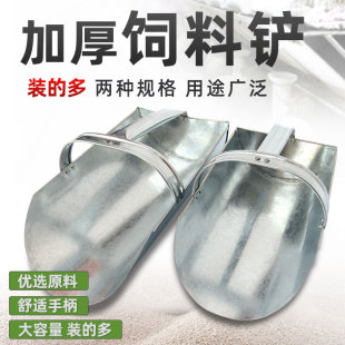 �F�üӺ��F�P������P���Bֳ���Zʳ�P�����С�������϶����϶�ư