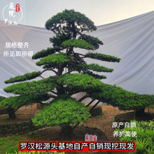 ���l�_�h���Ϙ�ͥԺ��ľ���ù����@�ֹ��̾G�����������е�����