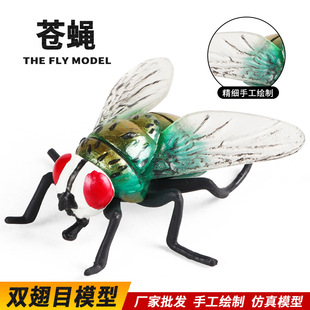 ��ͯ�J֪�������M����������xģ�Ϳƽ̌����w�оG�^�nωω�Ӕ[��