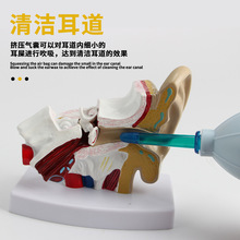 ★洗耳洗耳朵器耳洞耳道冲洗吸水灌吸吹细小耳屎采耳