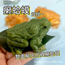 仿真动物癞蛤蟆捏捏乐软糯整蛊解压发泄玩具摆件爆款慢回弹捏捏
