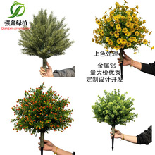 ���R�d������滨�����ᔵز�ֲ���S��ľ޹�²ݻ��@�Gֲ���_�m