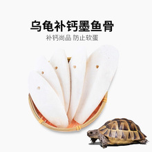 �����S�����x�a�}ī�~��������������ݗ�����ĥ�������a��Ȼ�}��