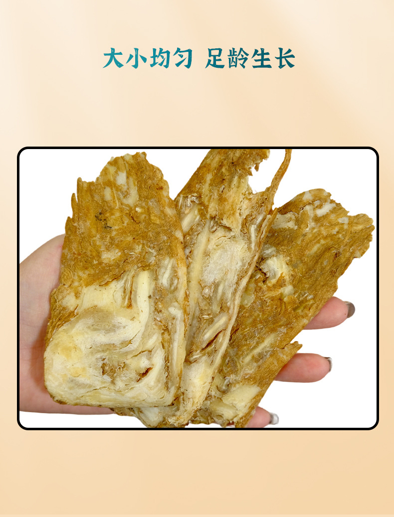 Dried Angelica Sinensis Root Slices Whole Gui Tou Pian Gansu Minxian 500g key features