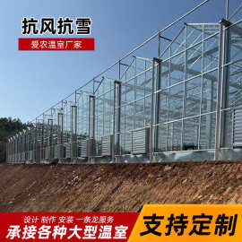 玻璃温室大棚工程连栋薄膜温室工程连栋温室温室大棚智能温室大棚