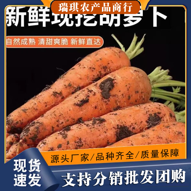 Carrots 2.5kg Whole Box Fresh Vegetables Crispy Sweet Refreshing with Puree Free Shipping 3 Wholesale 10 Farm Freshly Dug Sand Radishes