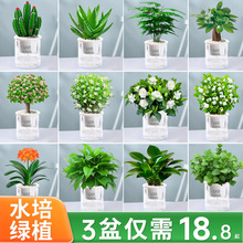 �G�}�j���m�lؔ�仨������С�Gֲ�k���҃ȳ���ȩˮ����B����ֲ��