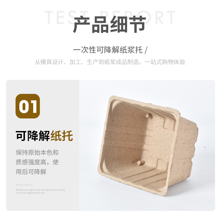 13.16果蔬纸浆托 (8).jpg