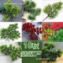 �~�ɘ�ؘ����Ϸ����b��ɘ�֦���~����ӭ�����~�Ӽ���֦���~���