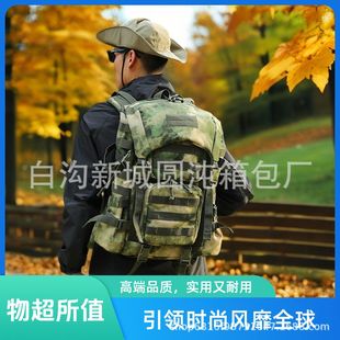 ����๦�ܑ��g��y�W����1000d���ܵ�ɽ��Ұ�I����ͽ���p�米��