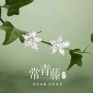 925纯银常青藤耳钉女款轻奢小众新款高级感耳饰情人节礼物送女友