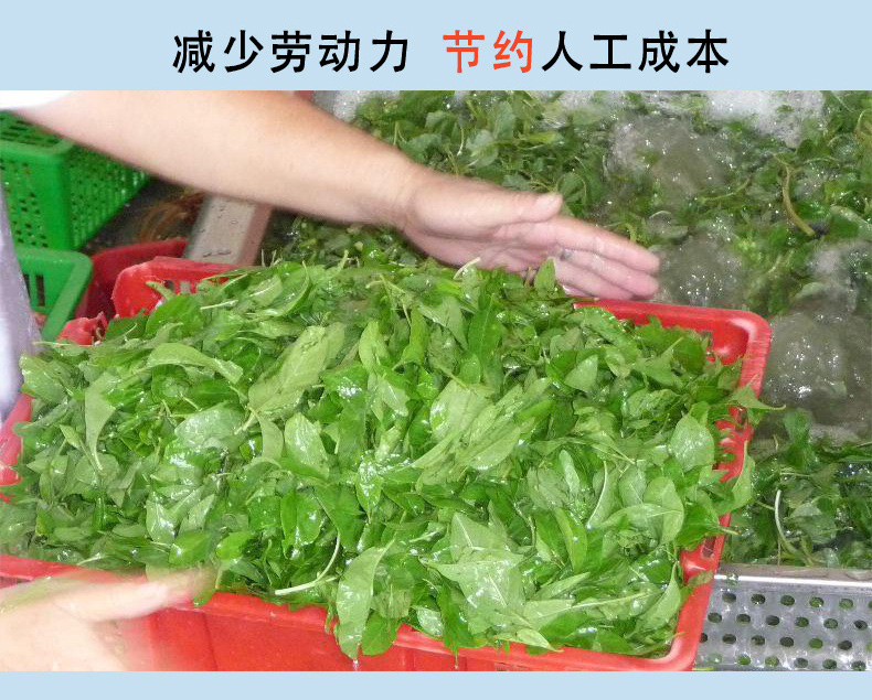 详情_05