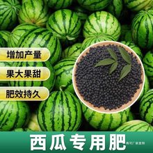 西瓜肥料家用室内外盆栽西瓜有机复合肥水果植物通用水溶肥料