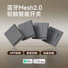 智能开关控制面板Mesh2.0全屋语音手机蓝牙双控遥控已接入米家APP
