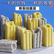 lݞV~^Vσˮմɭh~Ɠp