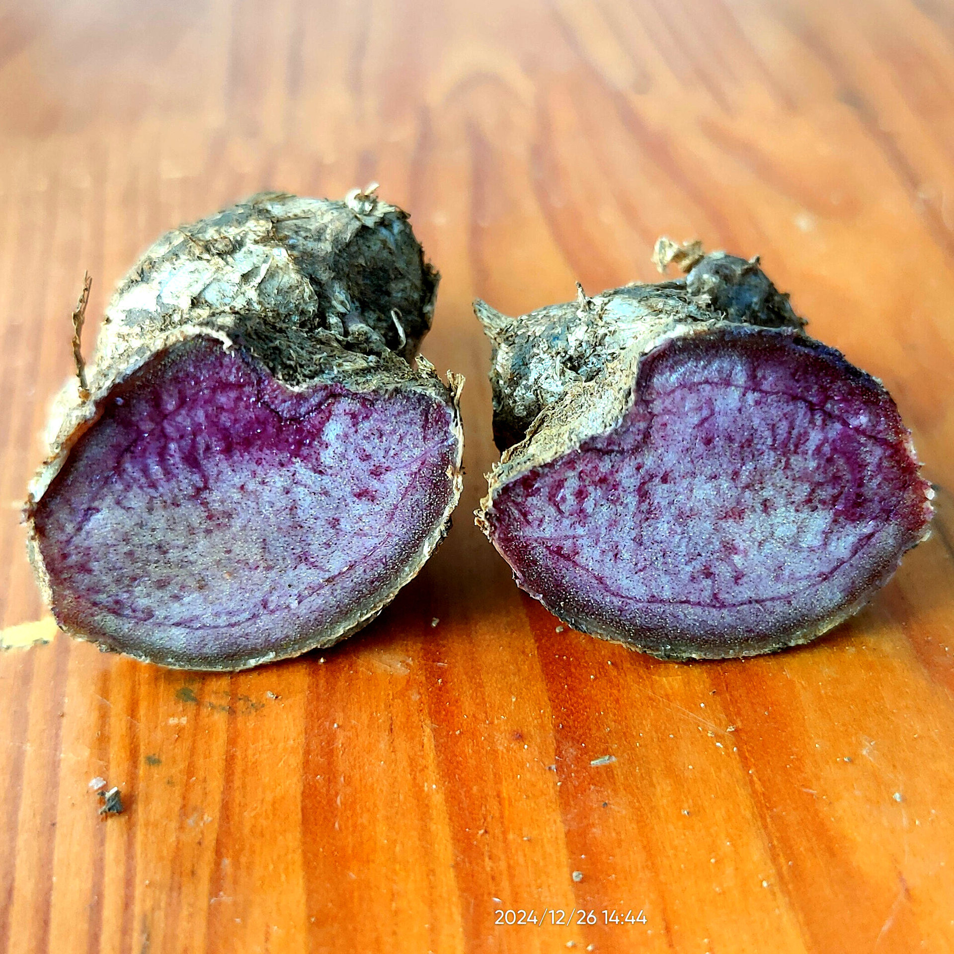 微信图片_20241226150110