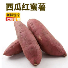 ���ϼt���� 5�����r���ߜ��N�ؔ����l�tƤ�������l�t�ļt��һ����