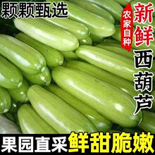 ���r�����J3/9��Fժ�F�l�������r���ԷN�S�Ϯ����߲�