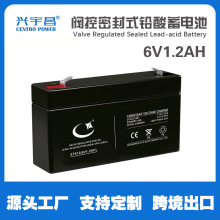6V1.2AHطܷʽǦ