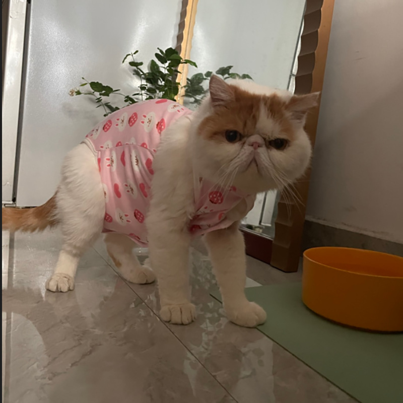 粉2