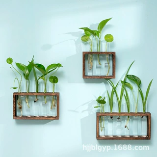 挂墙式水培木架花瓶小清新客厅简约装饰摆件桌面墙壁绿萝花瓶批发