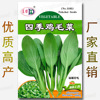 Spring and summer Season One -dollar Easy Seed Vegetable Seed Manufacturer Direct Sales Four Seasons Good Word of Mouth Word Seeds wholesale