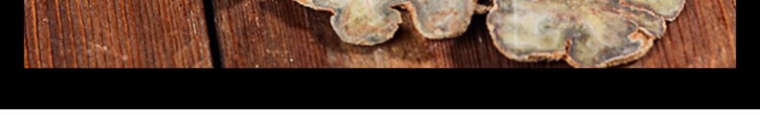 Wenshan Notoginseng Root Slices San Qi 500g Dried Herbal Decoction Pieces key features