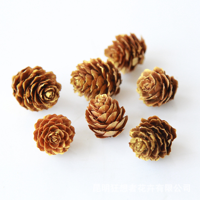 Mini nón thông vàng nhỏ 2-3cm (một túi 20g, khoảng 9 chiếc)