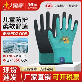 通用手套;其他手部防护;一次防护手套