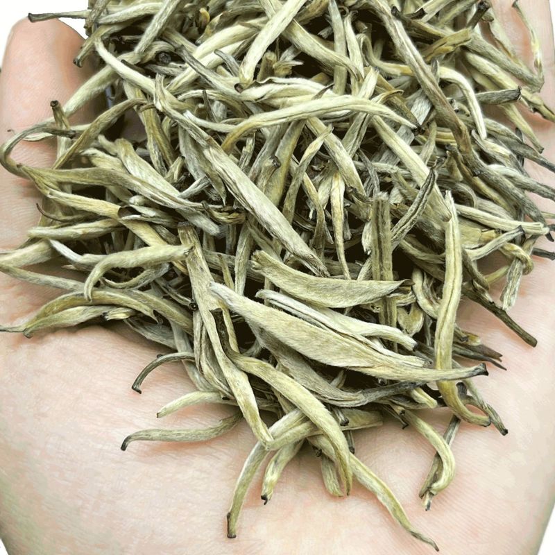 Reprehenderit qui in ea