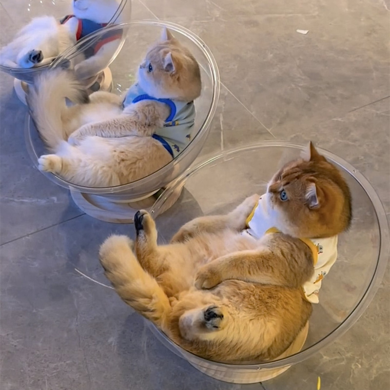 宇宙飛行士の猫の巣四季通用の高透アクリルの木の回転盤の氷の巣の猫のおもちゃの猫のベッドの一体の春夏|undefined