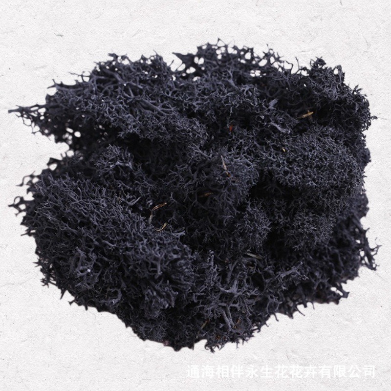 Black·Eternal Moss
